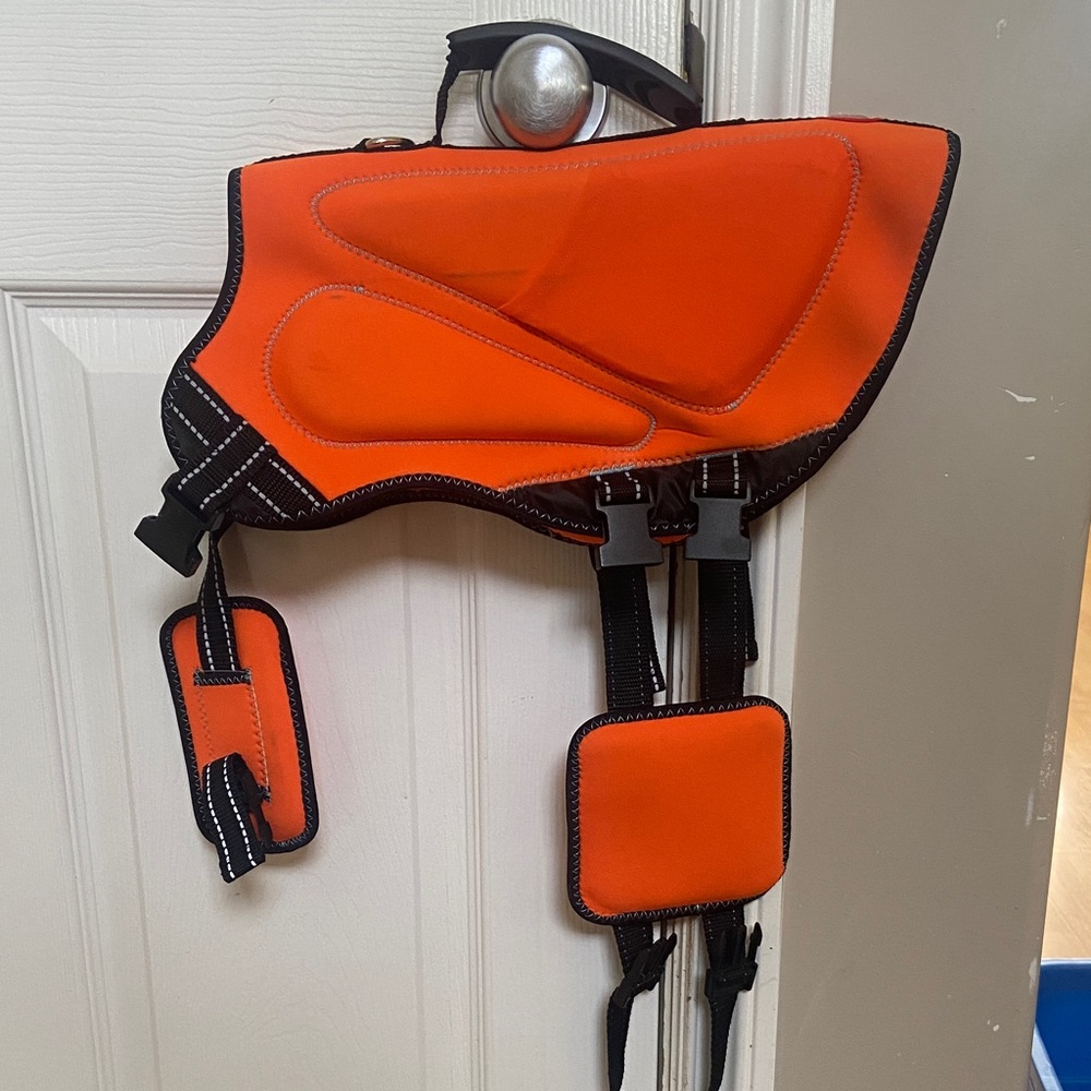 Orange Dog lifejacket